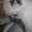 шотландский прямоухий котенок - Изображение #4, Объявление #755233