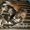 Отдам сибирских котят, за символическую плату - Изображение #4, Объявление #762988