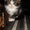 Отдам сибирских котят, за символическую плату - Изображение #7, Объявление #762988