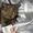 Продается котенок Скотиш фолд страйт мальчик - Изображение #3, Объявление #792472