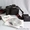 Canon EOS 5D Mark II 21MP DSLR Camera - Изображение #2, Объявление #848475
