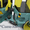 Вибрационный асфальтовый двухвальцовый каток AMMANN  AV 12-2 - Изображение #2, Объявление #870207