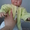 Куклы Реборн -авторские куклы  ручной работы можно изготовить на заказ  #887333