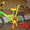 коляска,  стульчик,  велосипед,  самокат #887545