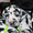 Мраморные щенки немецкого дога из Челябинска - Изображение #1, Объявление #525217