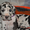 Мраморные щенки немецкого дога из Челябинска - Изображение #10, Объявление #525217