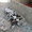 Продам щенков Дратхаара - Изображение #2, Объявление #894464