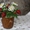 Продам деревья и цветы из бисера - Изображение #4, Объявление #917758