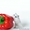 Продаются чудесные джунгарские хомячки - Изображение #2, Объявление #924242