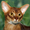 Абиссинские котята – домашние маленькие пумы.  - Изображение #2, Объявление #963578