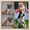 щенки шоу класса американского стаффордширского терьера - Изображение #2, Объявление #999760