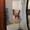 3-комнатная квартира, мкр Алмагуль за 155 000 $ - Изображение #1, Объявление #1006028