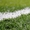 Искусственная трава с ПУ подкладкой - Изображение #1, Объявление #1016441