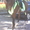 обучение верховой езде на лошади - Изображение #1, Объявление #1039581