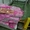 Блоки говяжьи жилованные 2 сорта замороженные 1050тг - Изображение #2, Объявление #1054455