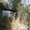 Дача в Аксайском ущелье - Изображение #5, Объявление #1065112