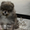 Эксклюзивные мини щеночки карликового померанского шпица SHOW-classa! - Изображение #1, Объявление #1056974