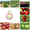 Саженцы яблонь,  груш,  вишни,  черешни,  персика,  малины #1052572