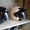 шлемы для мотоцикла #1076237
