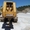  KOMATSU - BULLDOZER KOMATSU D 155 A   