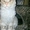 котята Мейн Кун из питомника г.Алматы - Изображение #2, Объявление #1092580