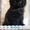 Британские котята от титулованных производителей! Летняя цена! - Изображение #3, Объявление #1106862