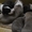 Щенки Американский Стаффордширский терьер - Изображение #1, Объявление #1107514