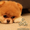 Эксклюзивные щенки карликового померанского шпица Мишки SHOW-Classa!!! - Изображение #9, Объявление #1122491