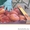 плоский персик(парагвайский) - Изображение #3, Объявление #1129252