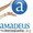 Amadeus - индивидуальное обучение
