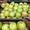 Польские яблоки и овощи - Изображение #3, Объявление #1146606