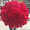 АЛМАТЫ БУКЕТ. Доставка цветов Алматы - Изображение #2, Объявление #1190783