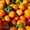 Оптовые поставки фруктов по СНГ - Изображение #5, Объявление #1191183