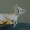 Сиамские котята из питомника "Амрита Марга" - Изображение #2, Объявление #1199297