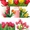 Цветы Тюльпаны по 150 тенге - Изображение #4, Объявление #1221120