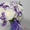 букет для невесты заказы цветов по алматы работают профессиональные флористы #1162193