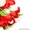 Цветы Тюльпаны по 150 тенге - Изображение #2, Объявление #1221120