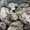 Камни и морской песок для аквариумов #1227462
