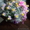 25 роз в высокой корзине заказы в алматы - Изображение #3, Объявление #1242435