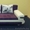 Роскошные диваны «Фиеста - Изображение #3, Объявление #1257987
