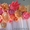 Оформление Свадеб в Алматы тканью, цветами, шарами. - Изображение #1, Объявление #1036592