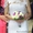 Букет невесты, бутоньерки - Изображение #6, Объявление #1285127