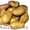 Картофель,  капуста,  лук оптом #1293106