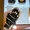 Перчатки Анти Артрит с компрессионным эффектом и медным переплетением 46249 - Изображение #2, Объявление #1306946