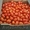 продаем помидоры - Изображение #3, Объявление #1168641