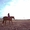 конные прогулки,обучение верховой езде взрослых и детей - Изображение #2, Объявление #1156707