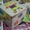 Деревянная игрушка Куб-сортер с вкладышами Мишка 46391  - Изображение #2, Объявление #1347385