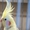 Продам попугаев  Корелл и какарика - Изображение #2, Объявление #1346011