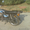 Peda Alpha Ninja Sport 125 cc - Изображение #1, Объявление #1361792