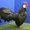 Продам кур, цыплят, инкубационное яйцо - Изображение #2, Объявление #1365905
